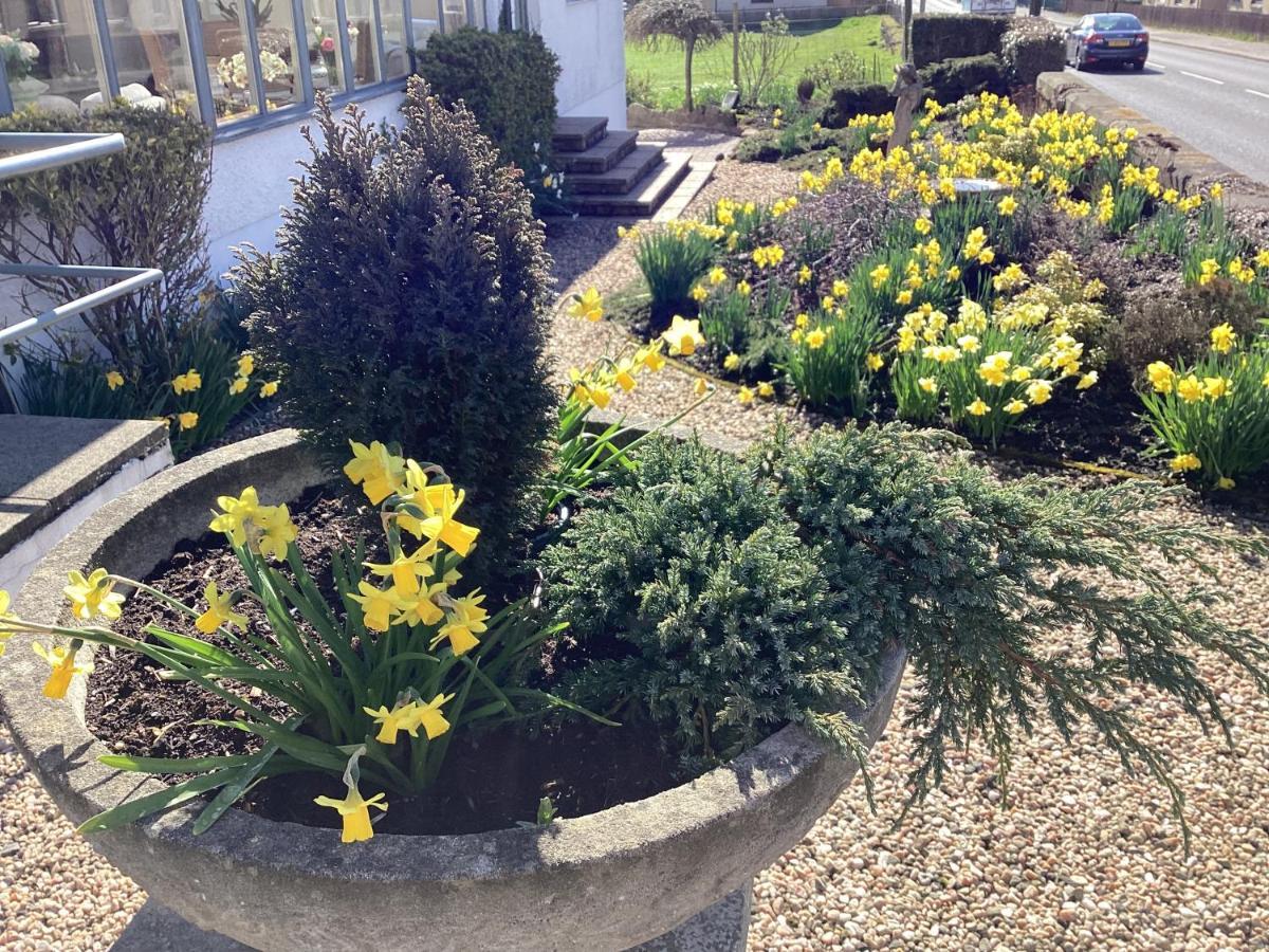 Auchenlea Bed And Breakfast Coatbridge Exterior photo